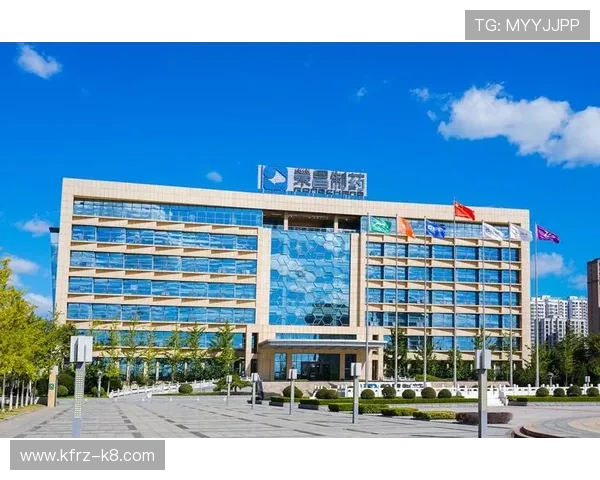 K8.com凯发平台官网的安全保障措施详解，确保每位玩家的资金与信息安全